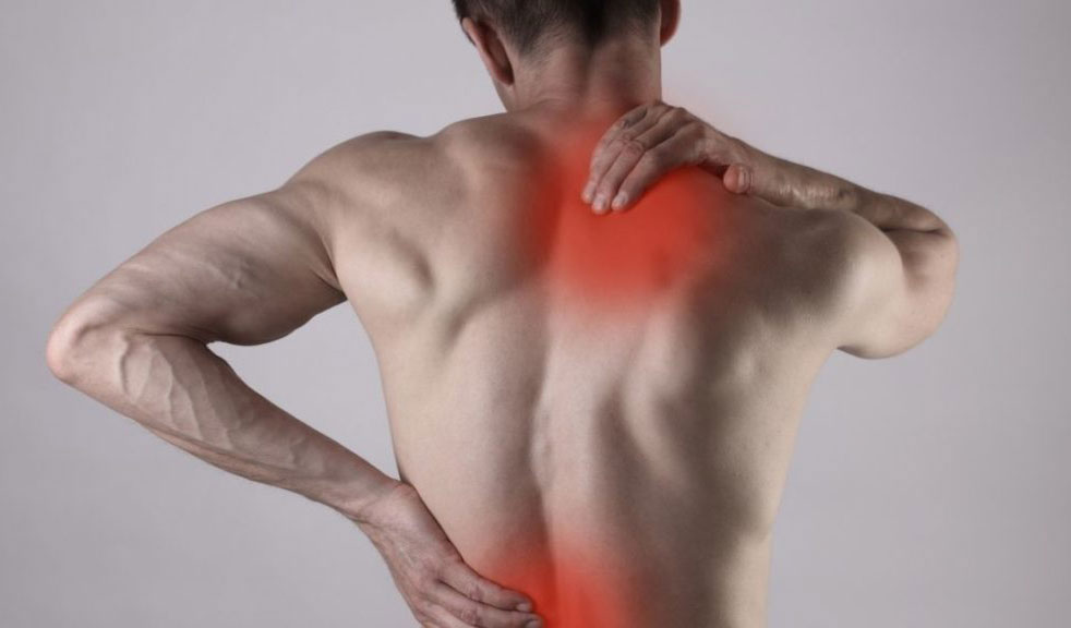 Muscular Pain? Consult A Physiotherapist