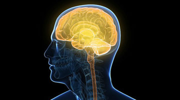 Neurological Physiotherapy in Noida